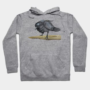 Crow Hoodie